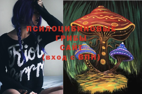 мдпв Верхний Тагил