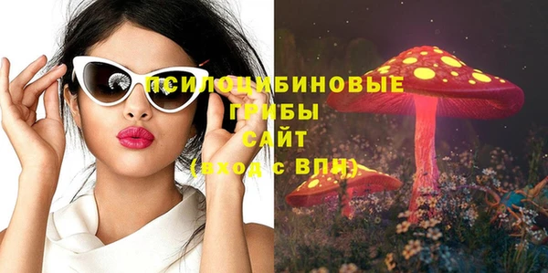 мдпв Верхний Тагил