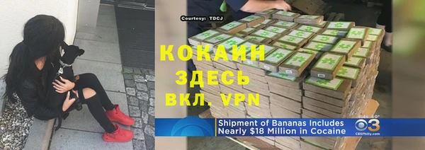 мдпв Верхний Тагил
