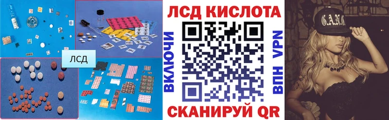 shop официальный сайт  Новохопёрск  ЛСД экстази кислота 
