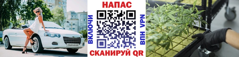 Марихуана Amnesia KRAKEN как зайти Новохопёрск